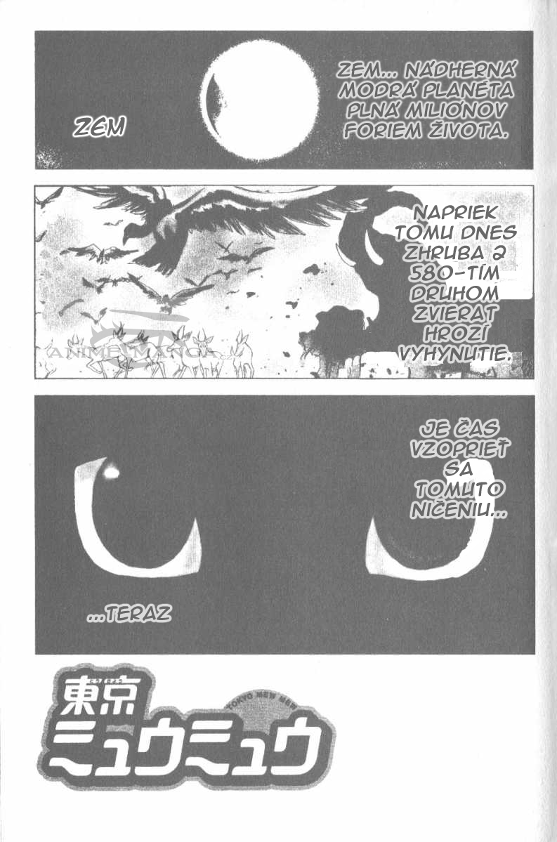 Tokyo Mew mew 1.jpg
